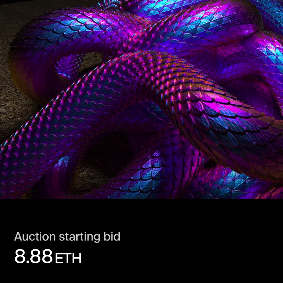 Embrace the Snake | Foundation